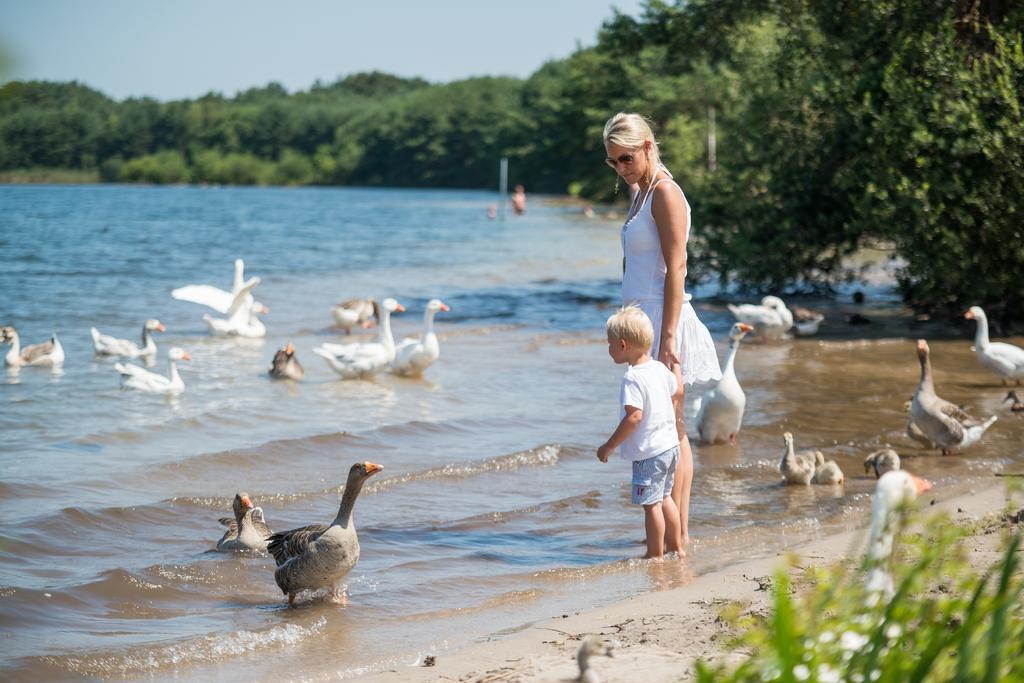 Sunparks Kempense Meren Mol Bagian luar foto